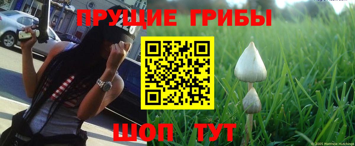 Галлюциногенные грибы мухоморы Коркино